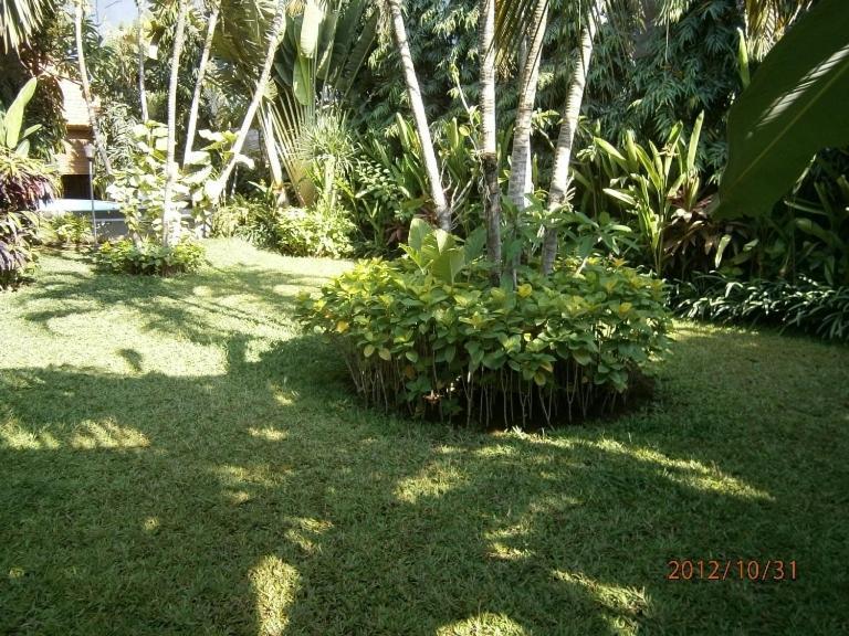 Adus Beach Inn Legian Εξωτερικό φωτογραφία